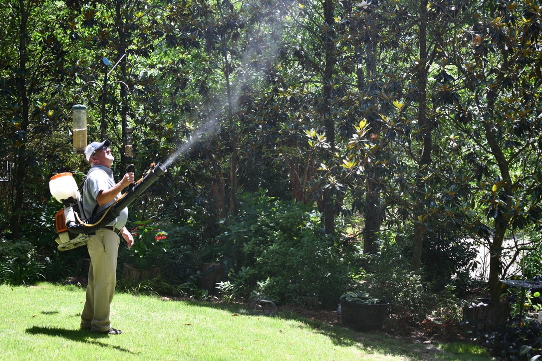 7 Best Ways to MosquitoProof Your Memphis Landscape